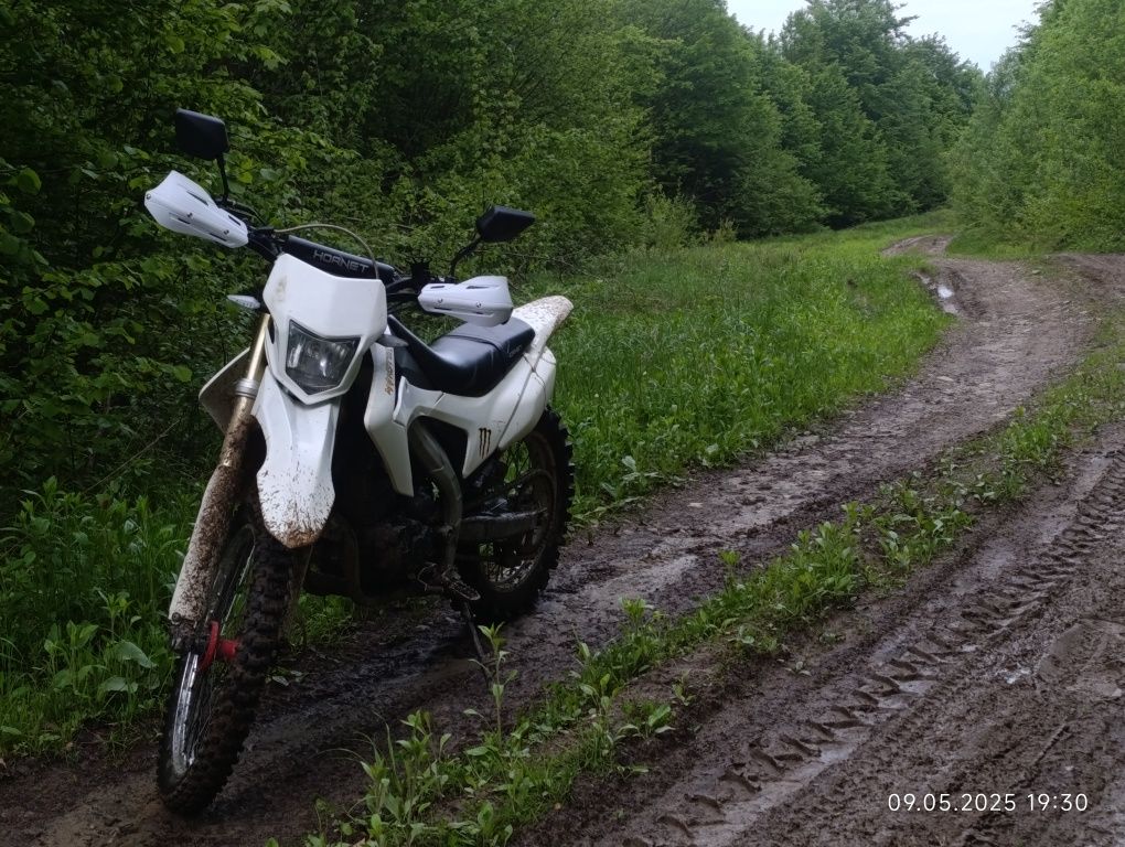Hornet Dakar pro