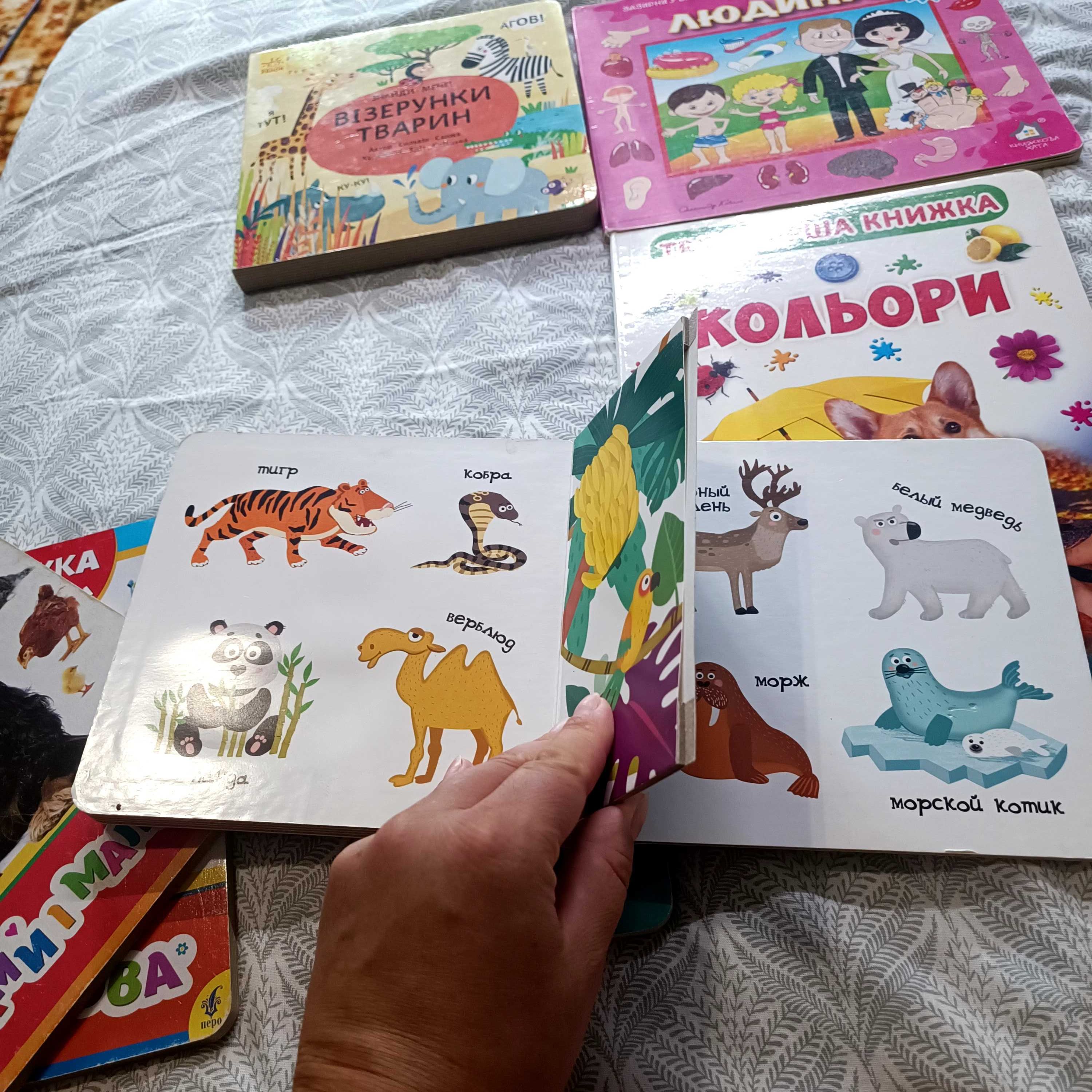 Дитячі книжечки для найменших/ книги дитячі
