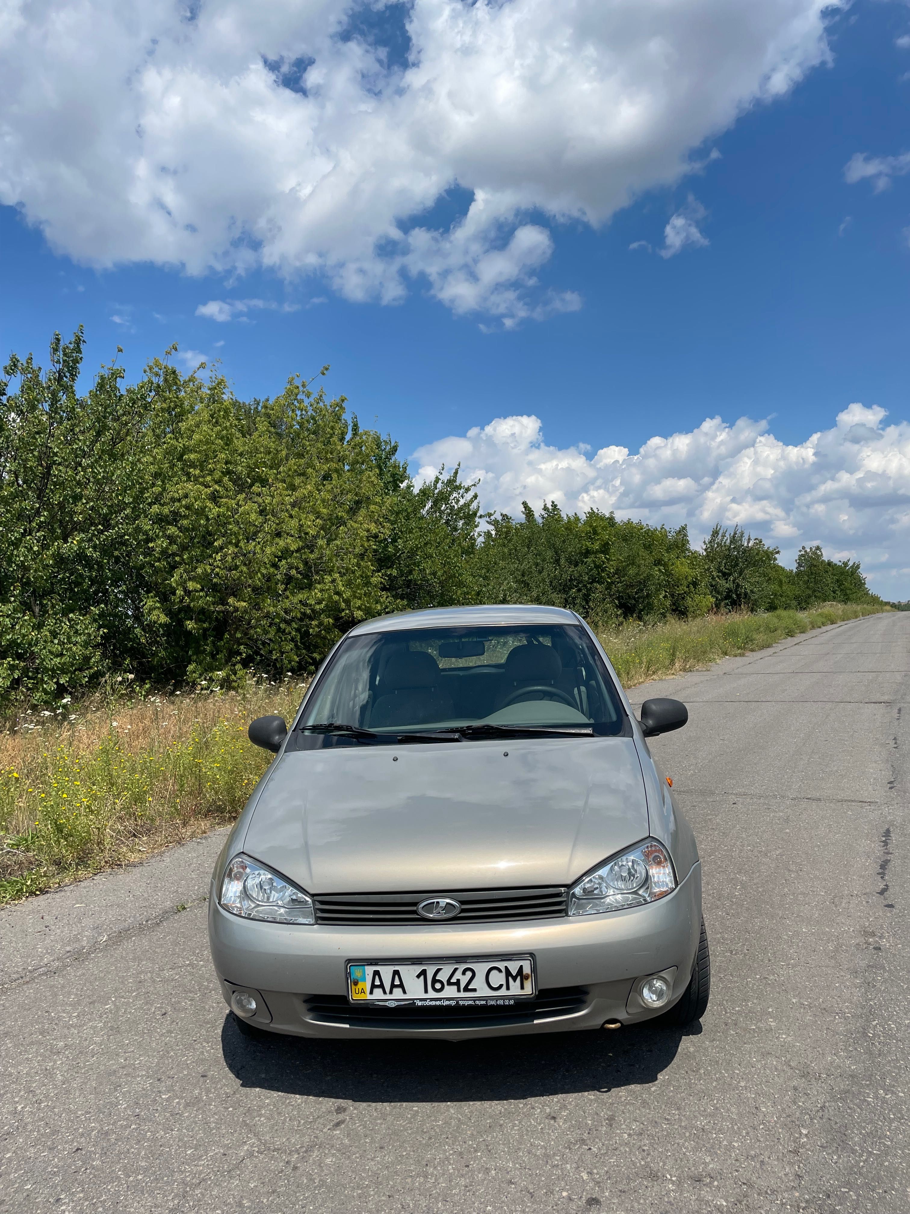 Лада каліна 1119