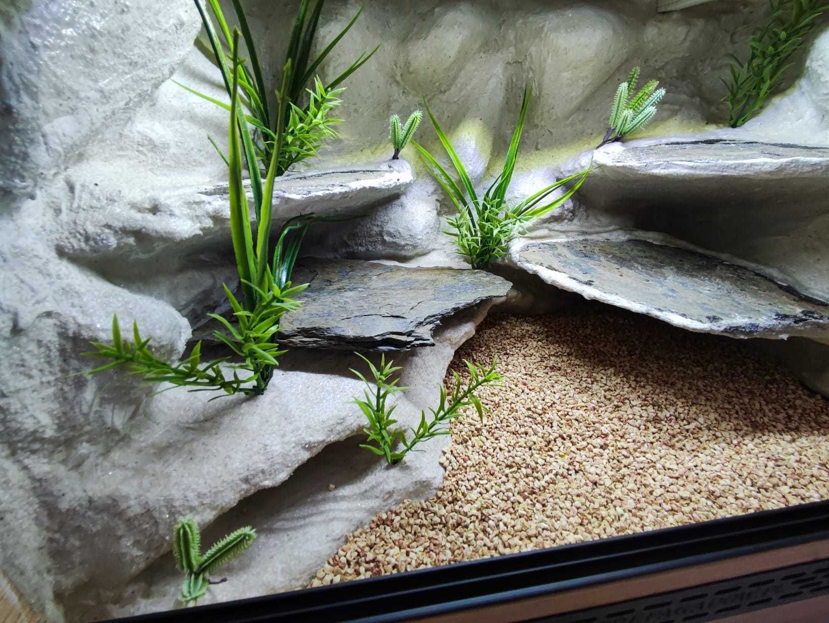 Terrarium pustynne nr638 60/40/40 dla gekona lamparciego NA ZAMÓWIENIE
