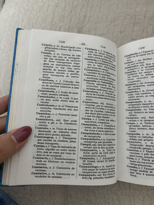 Dicionário Língua Portuguesa