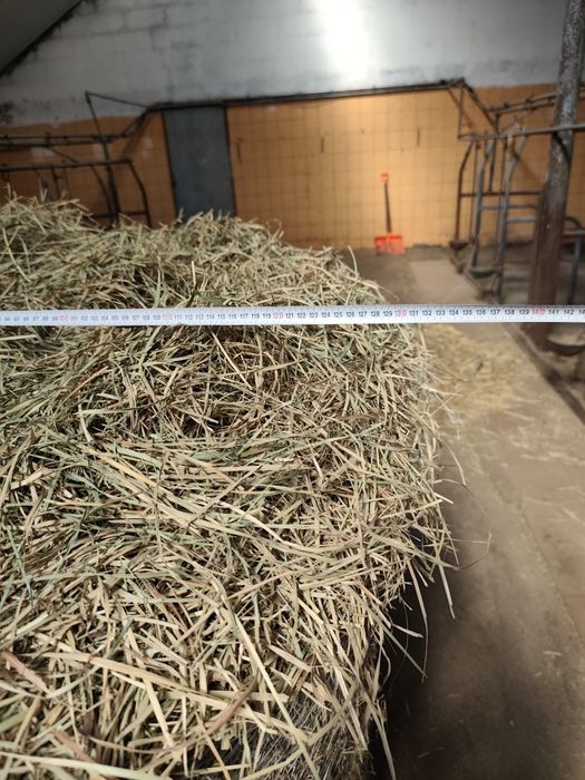 Sprzedam siano bele 130.Drugi pokos