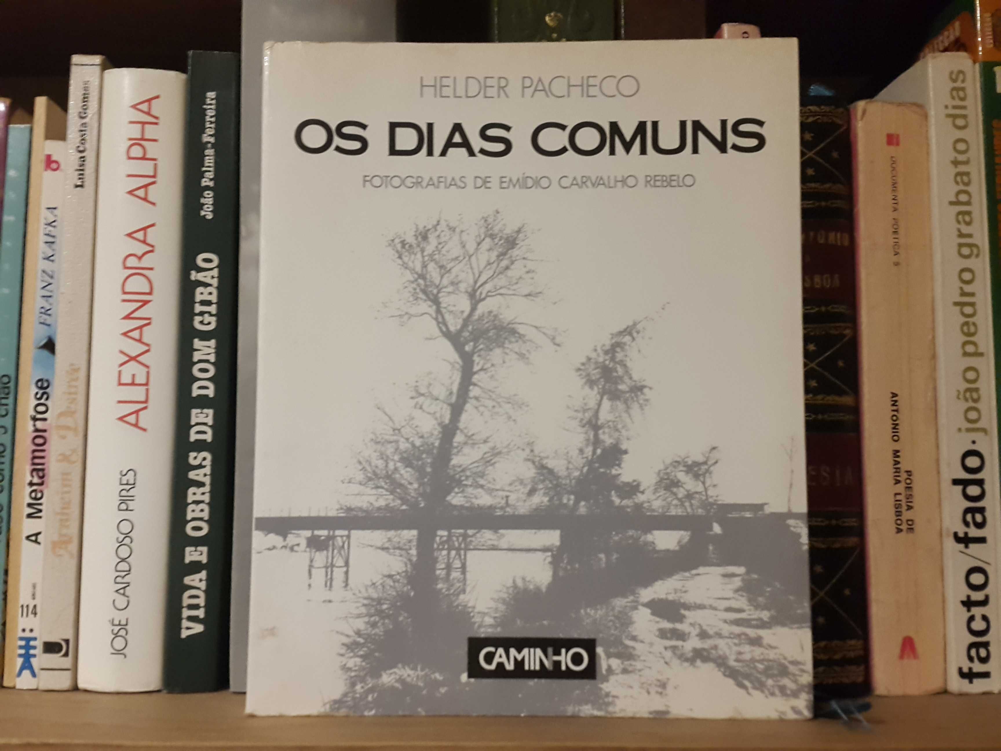 Helder Pacheco / Emídio Carvalho Rebelo - Os Dias Comuns