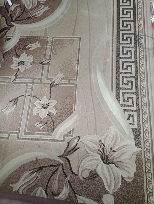 Dywan 220x300 cm