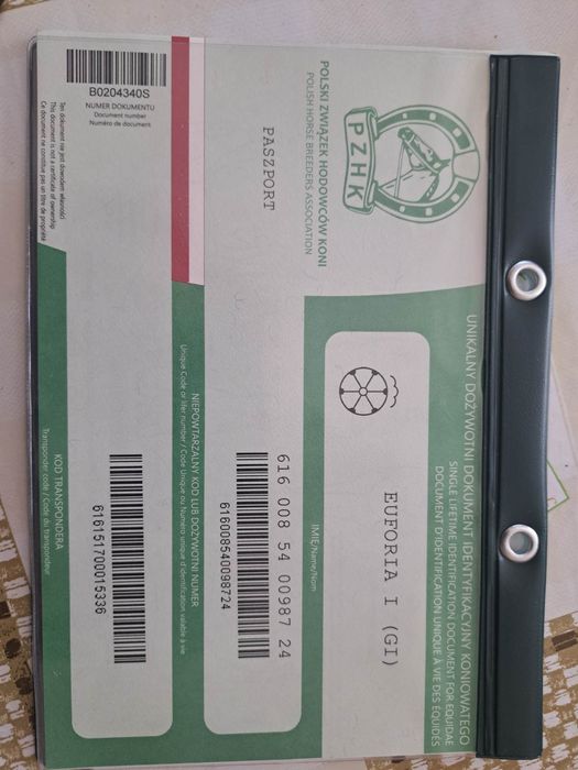 Na sprzedaż śliczna klacz Śląska