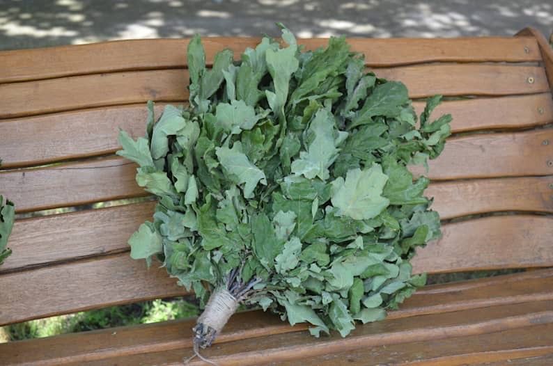 Банні віники з дуба, полині, м'яти, деревій, звіробій, евкаліпта