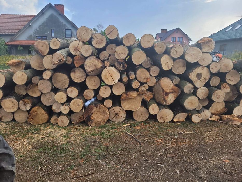 Drewno drzewo opałowe kominkowe