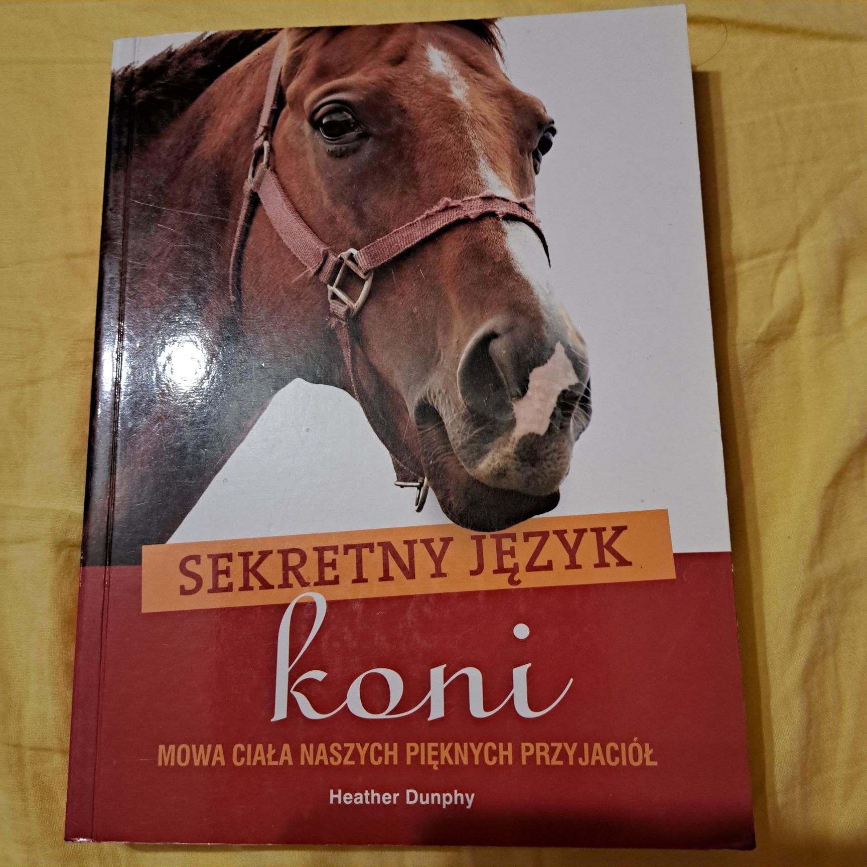 Sekretny język koni