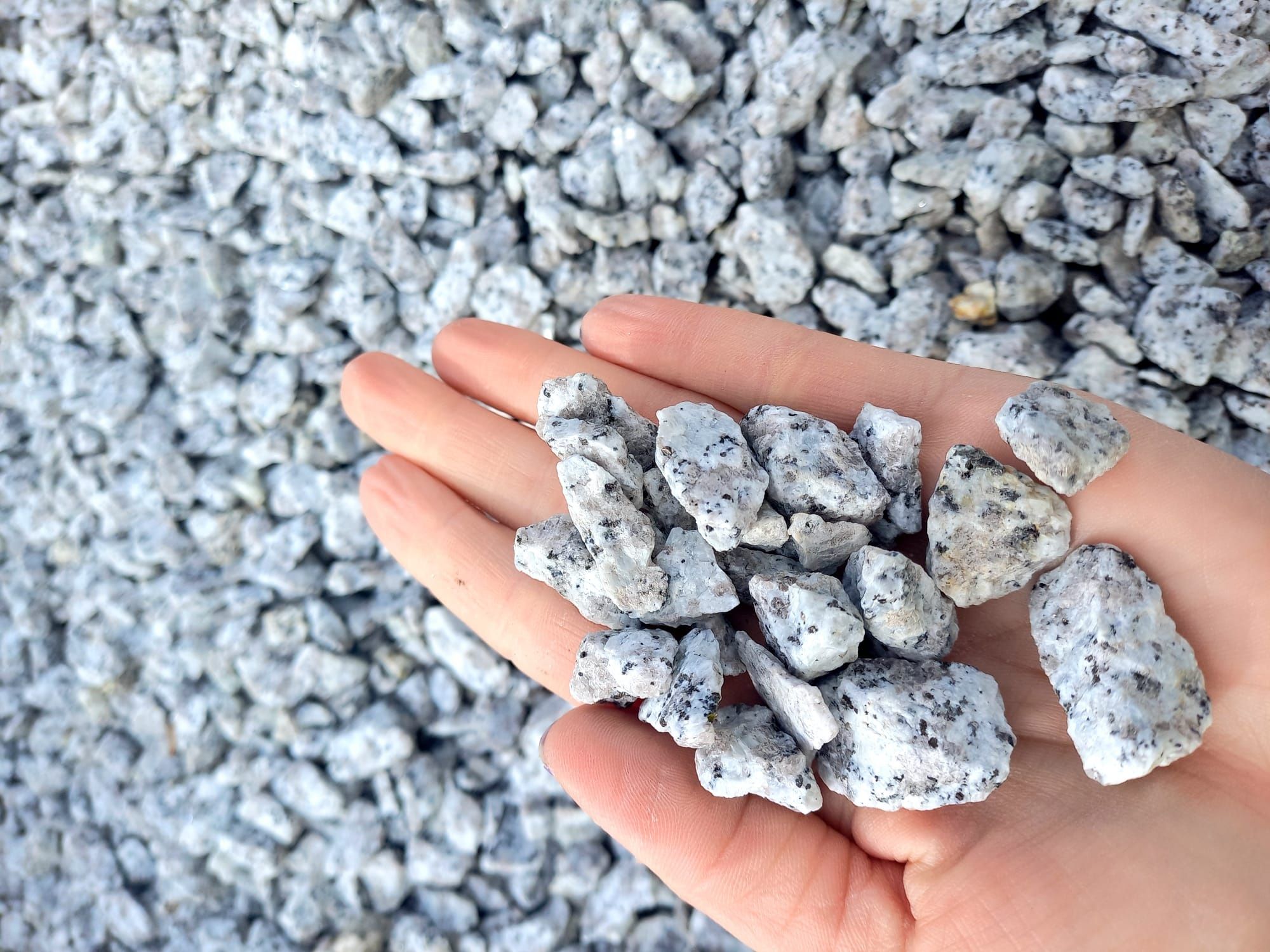 Grys kamień naturalny Biała Marianna bazalt dalmatyńczyk 1 T z dostawą