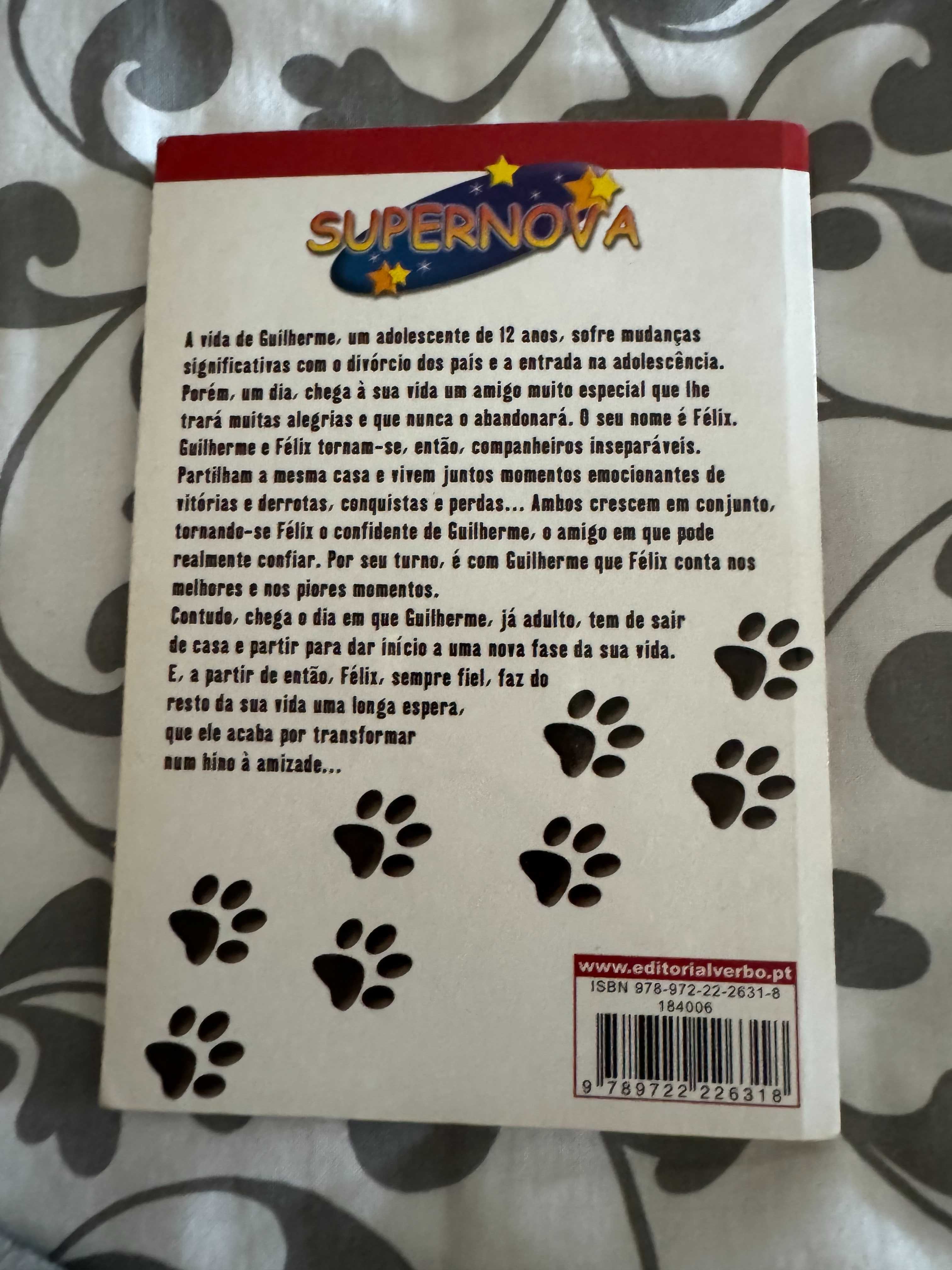 Livro Sempre do Teu Lado - Maria Teresa Maia Gonzalez