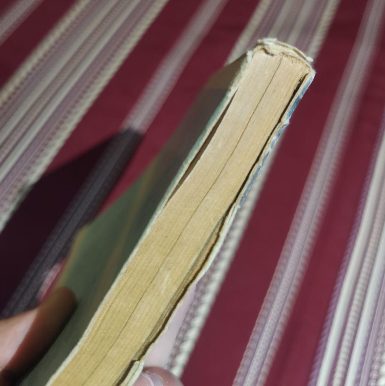 Livro O Muro da Vergonha