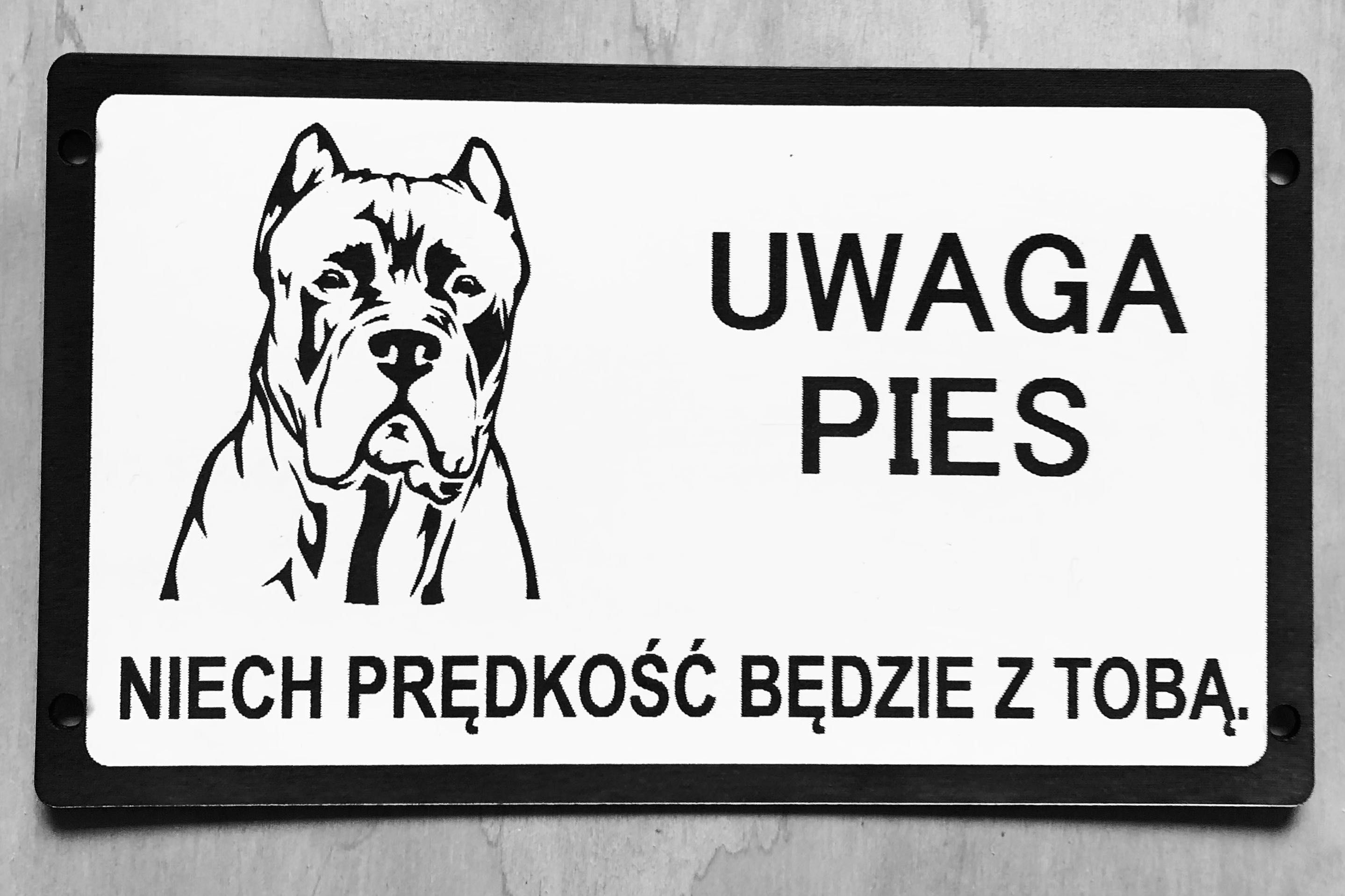 Tabliczki uwaga zły pies