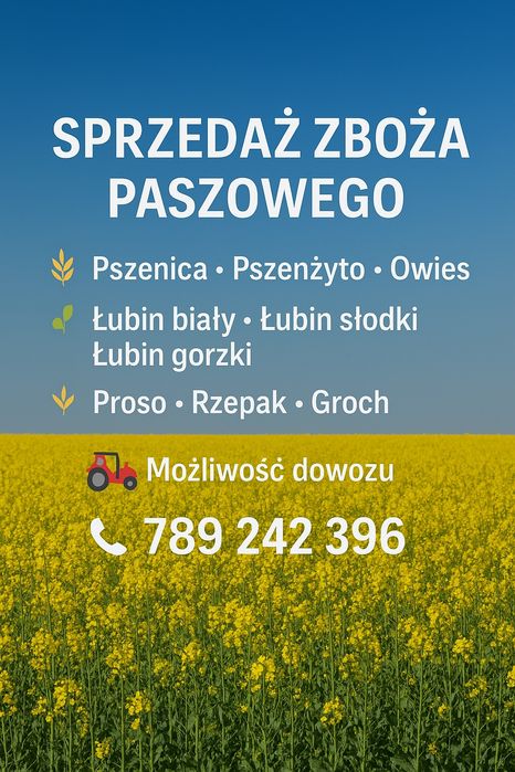 Proso  dla kur golebi nie pryskane