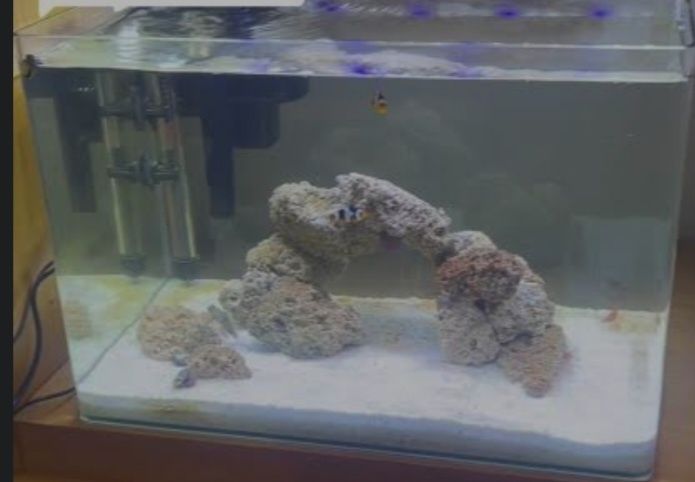 Aquário completo com  barra  led