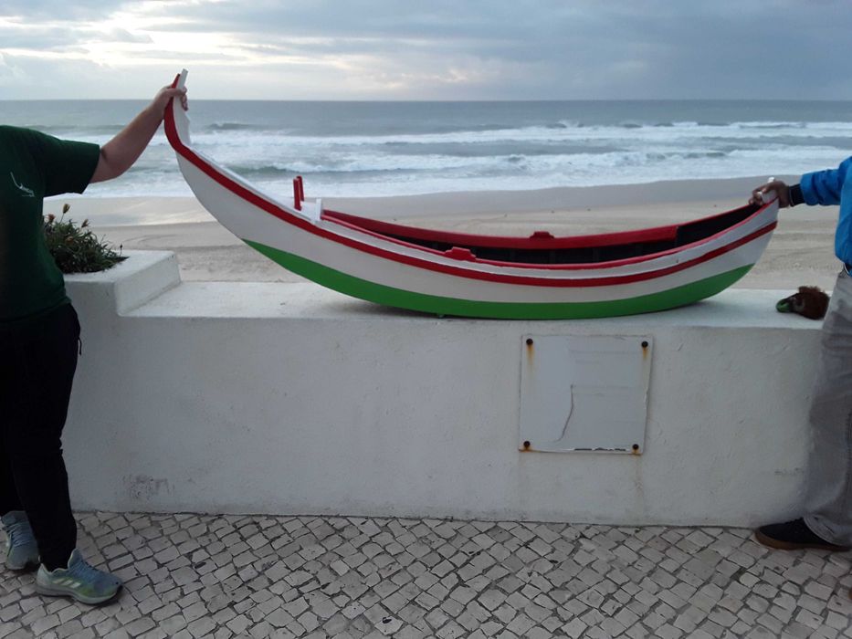 Barco de pesca artesanal ( arte xavega)