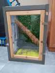 terrarium dla kameleona