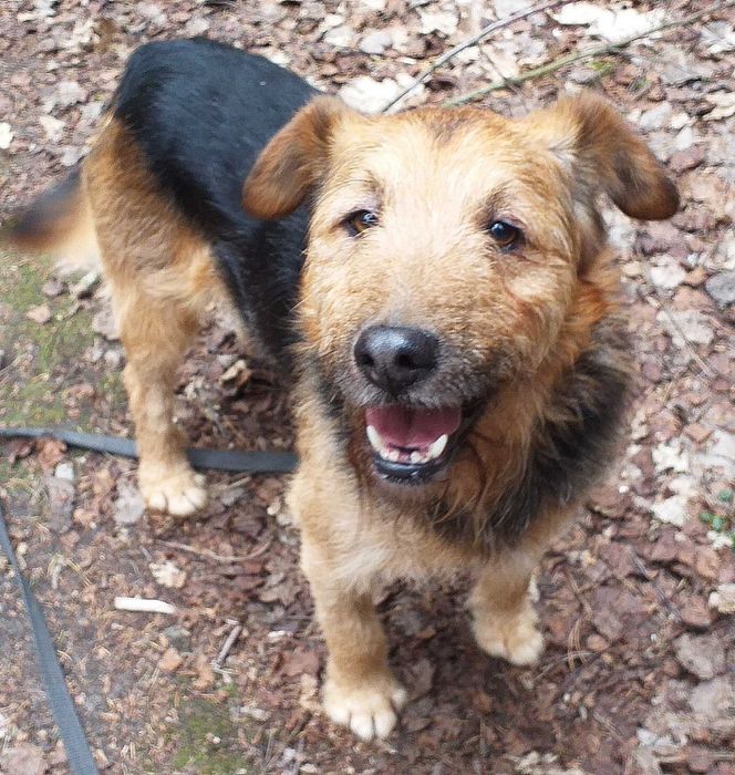 Terry czeka na szansę od życia, na własną rodzinę