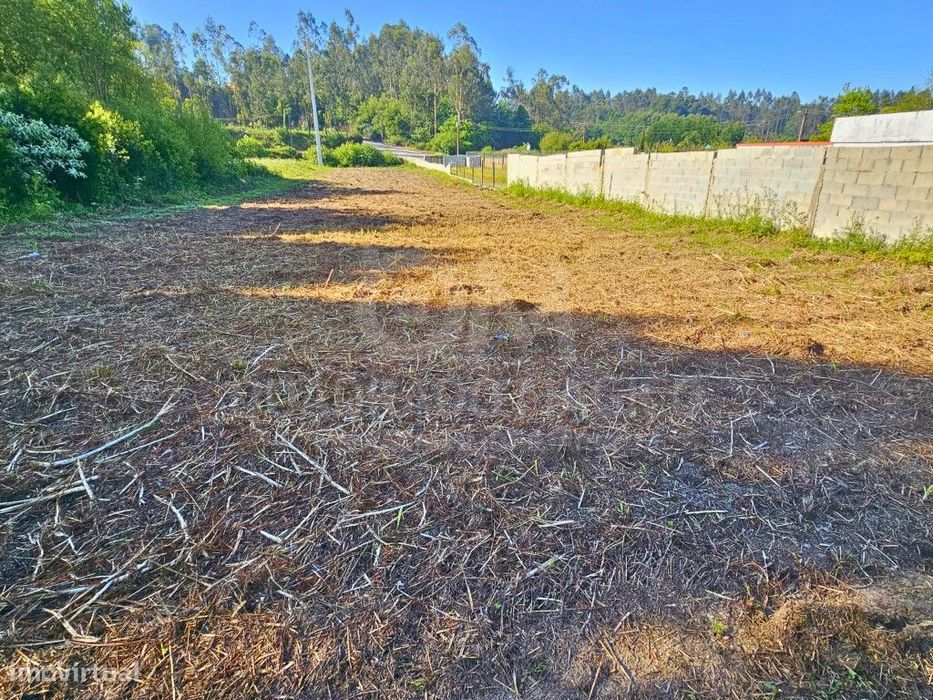 Oportunidade de Investimento Agrícola: Terreno de 1.800 m² com Pote...