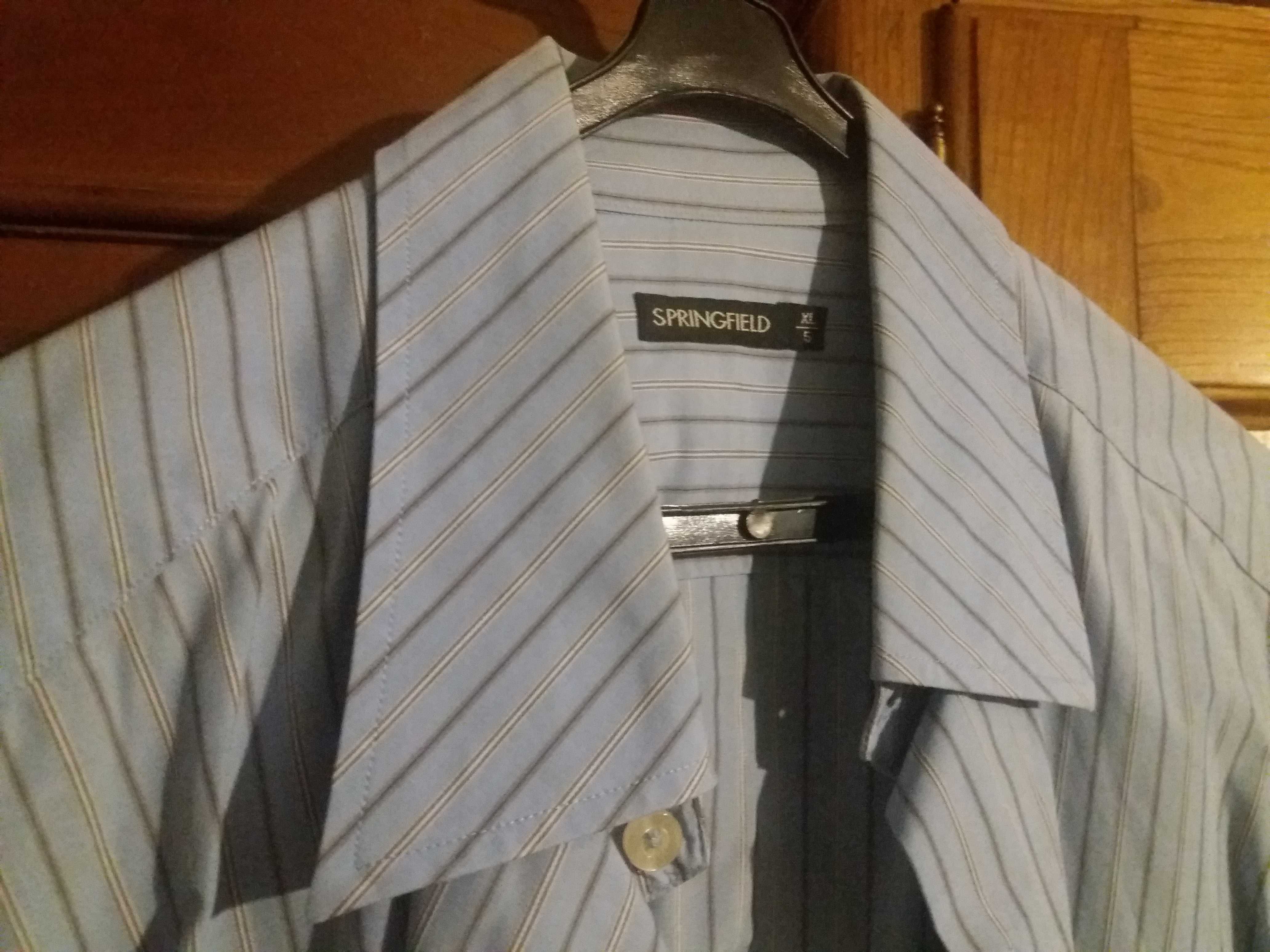Camisa azul às riscas. Springfield