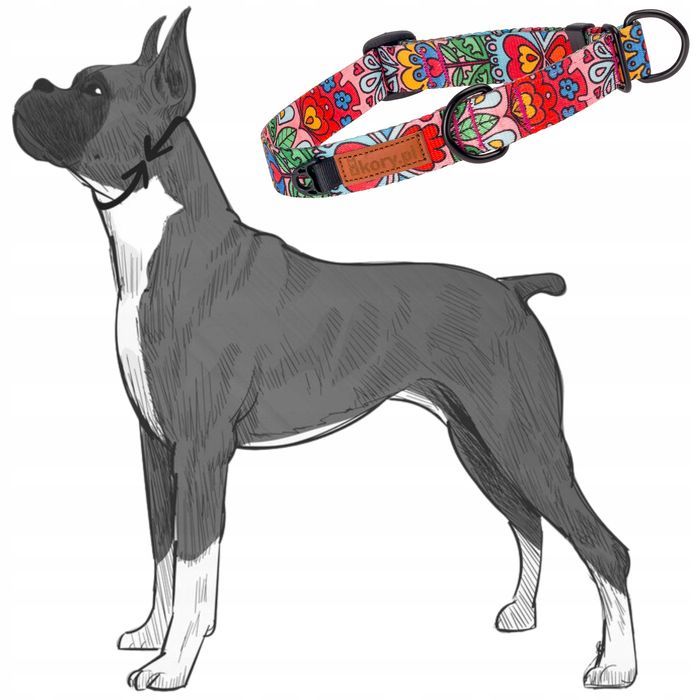 półzaciskowa obroża dla psa jamnika mopsa bostona 26-34 cm kolorowa