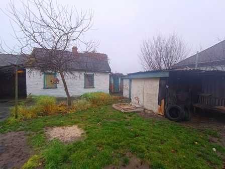 Будинок Золотоноша