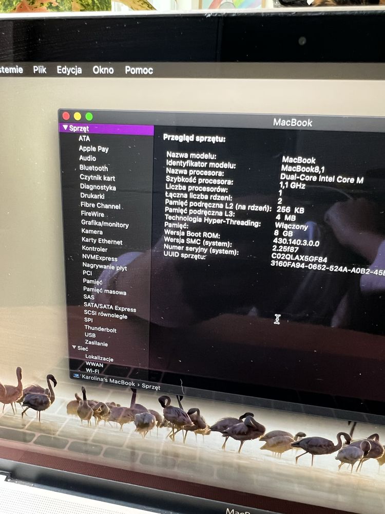 Apple MacBook 12 “ Retina GOLD 1,1Ghz/8GB/256GB