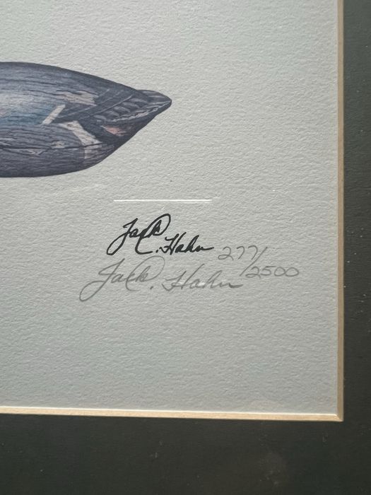 Zestaw 3 grafik Jack L. Hahn sygnowane limitowane wydruki kaczek