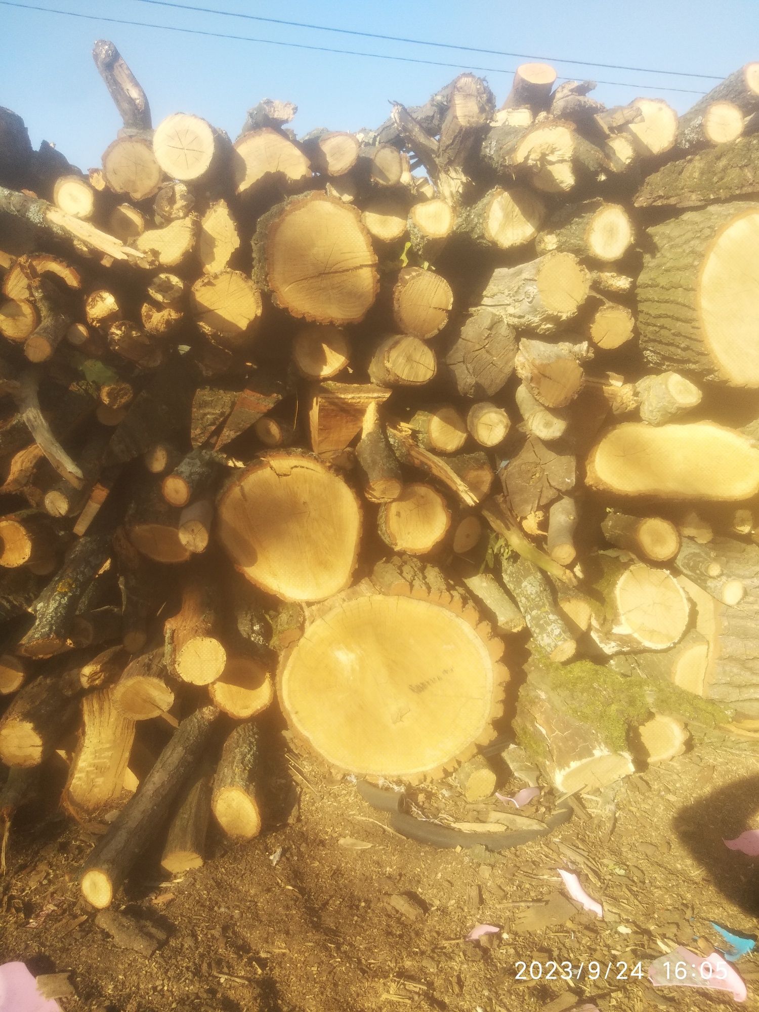 Продам дрова рубані та метрові