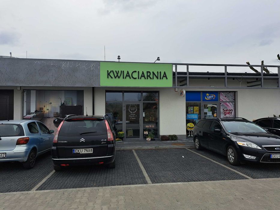 Lokal 31 m2 w Kutnie do wynajęcia