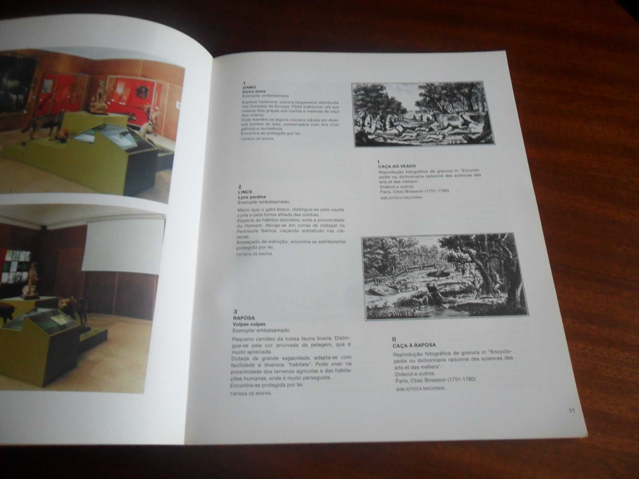 "Falcoaria Real" Catálogo de Exposição - 1ª Edição de 1990