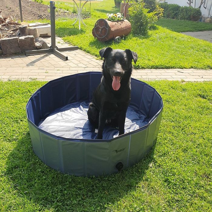 Basen Dla Psa Zwierząt Duży Składany Ogrodowy Do Ochłody Mycia Xxl 100
