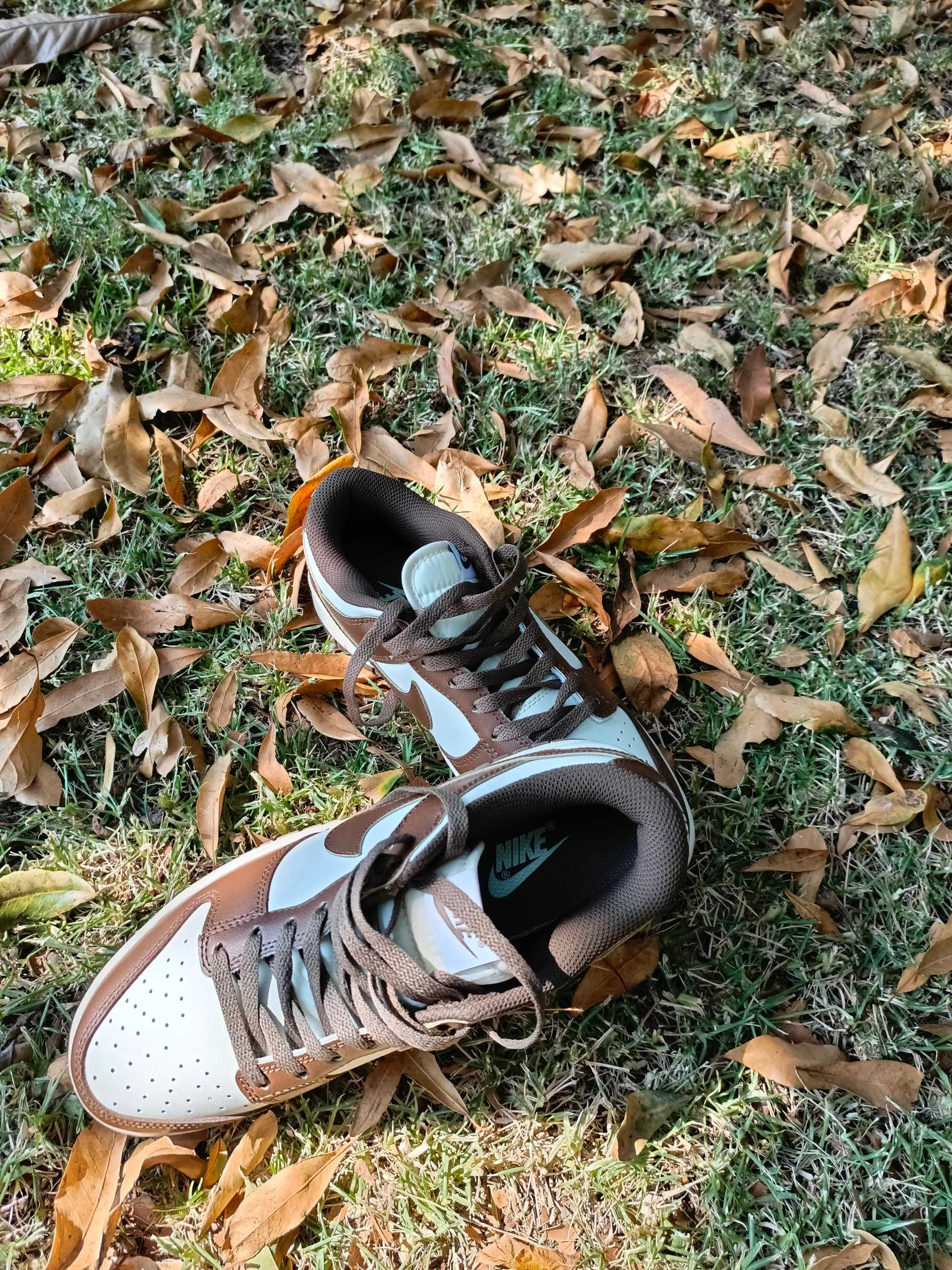 Nike Air Dunk Low