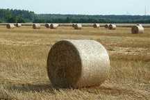 Słoma bele slomy