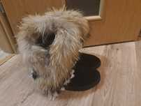 Buty skora ocieplane z jenotem