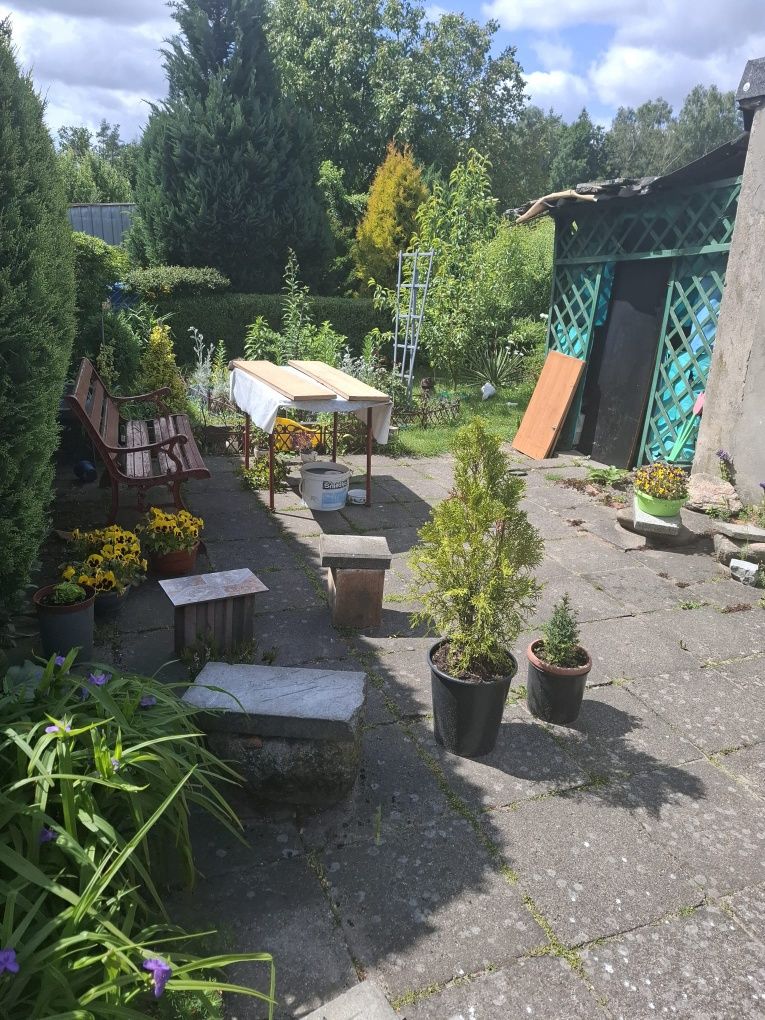 Mieszkanie 54m Turowo