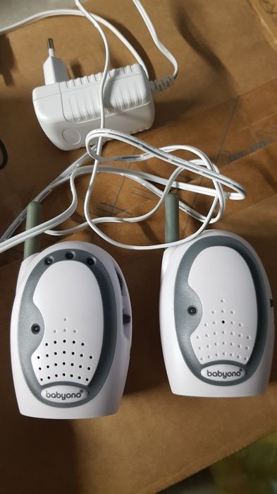 Elektroniczna niania