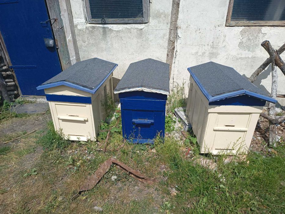 Ule Warszawskie nowe puste i z pszczołami