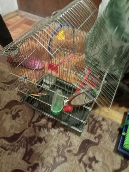 Клетка для попугаев в отличном состоянии.