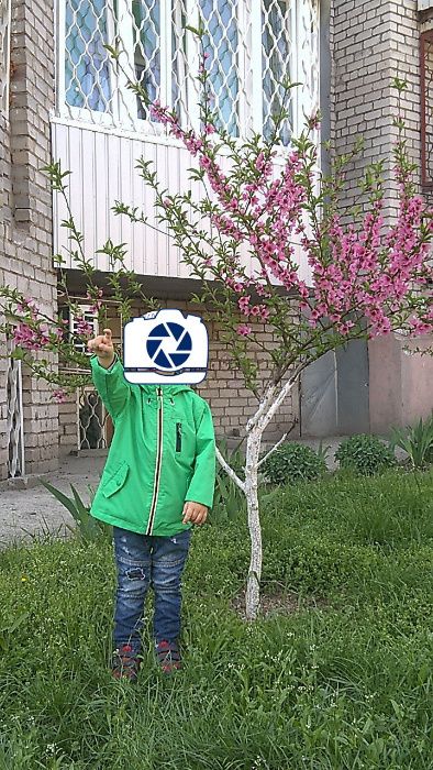ветровка на мальчика