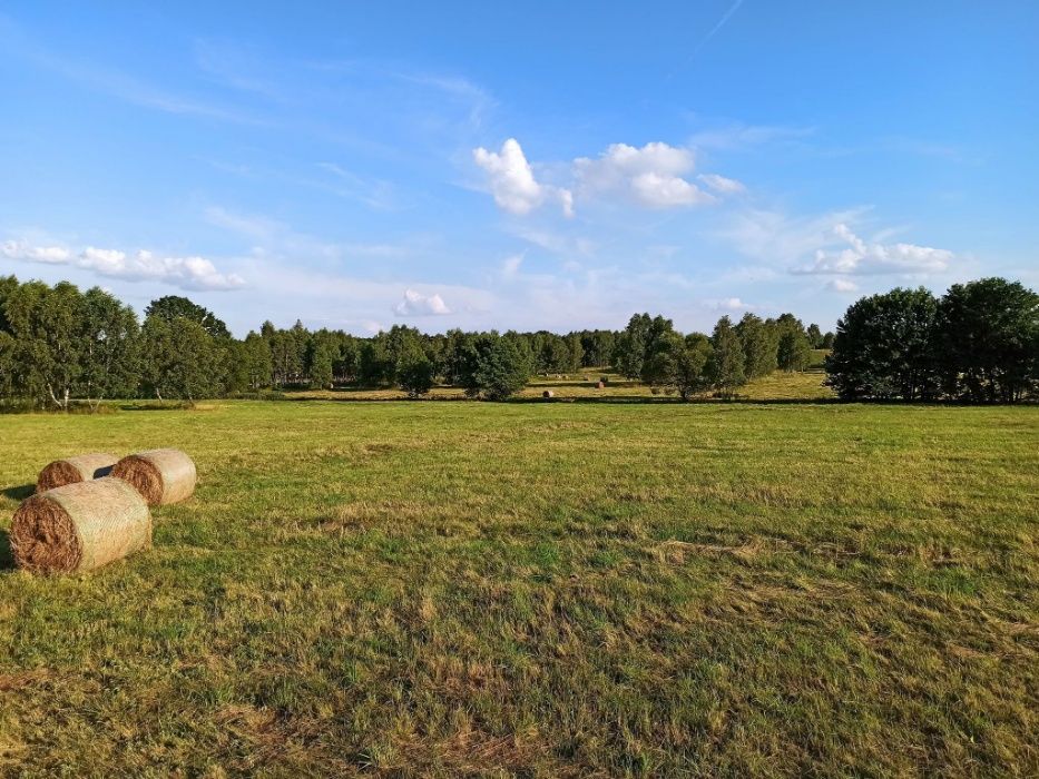 Siano baloty 150zł za balot