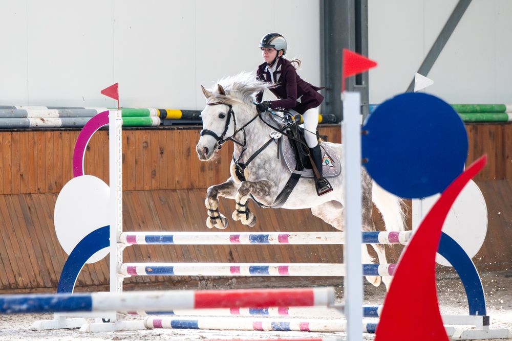 Kuc sportowy A2/C skoki/ujeżdżenie NOWA CENA