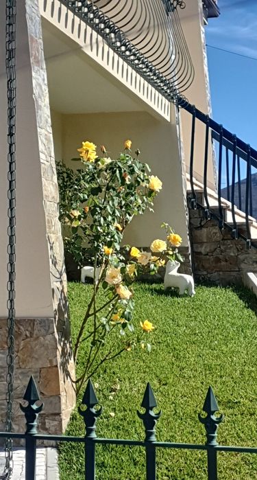 Serviços  de jardinagem limpeza de terrenos,  bricolage pinturas  l