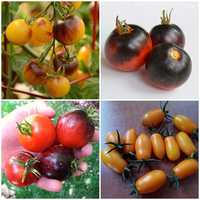 Kit sementes 4 variedades de Tomate (pequenos) - produção própria