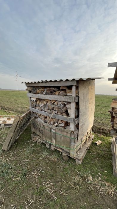 Drzewo opalowe suche 2 letnie sosna brzoza