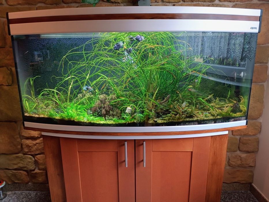 Akwarium kompletne