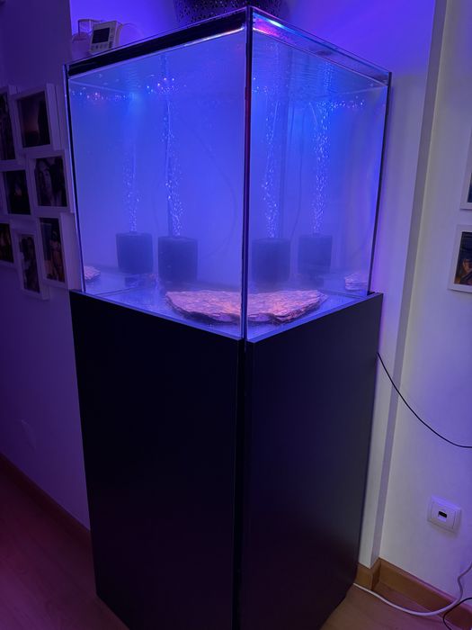 Aqua cubo complecto com peixes e armário