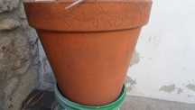 Vaso de barro . usado