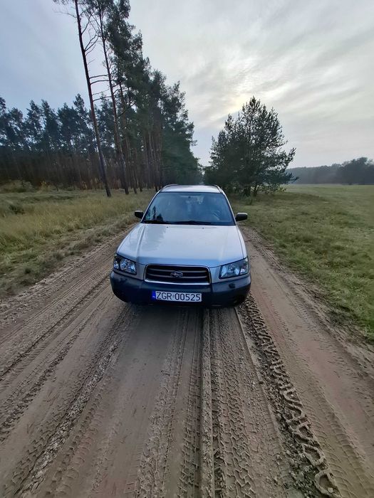 Subaru  Forester Leśnik na grzyby i ryby.
