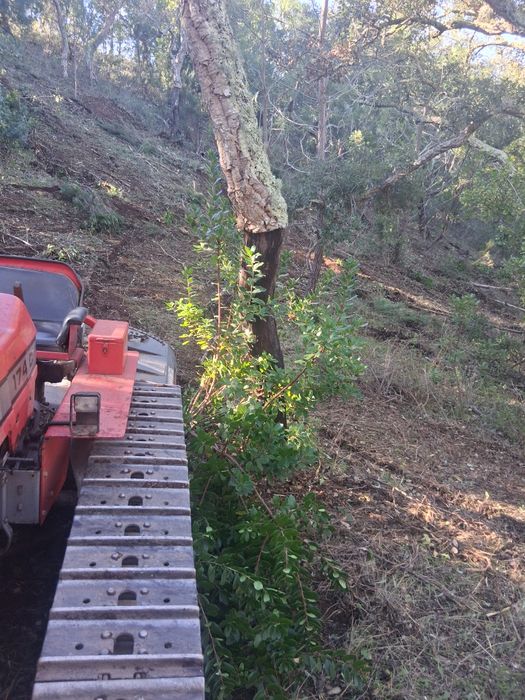 Limpezas de terrenos