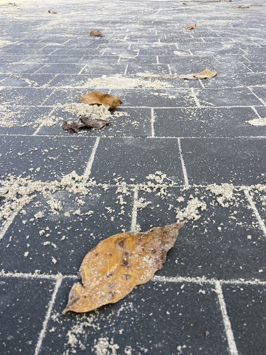 Укладка тротуарной плитки !Качественно и в сроки выполним работы.